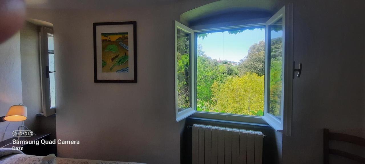 Vecchio Mulino Fontona Girasole Apartment Chiesanuova  Екстериор снимка